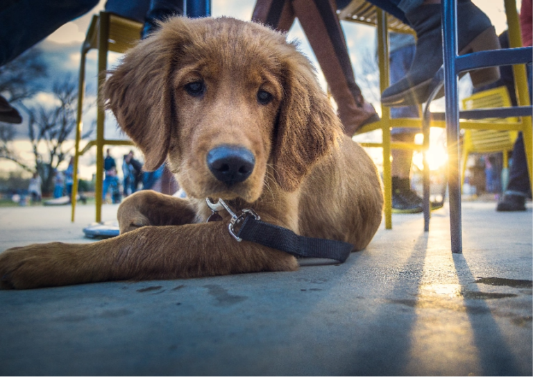 Image 2@2x 5 768x543