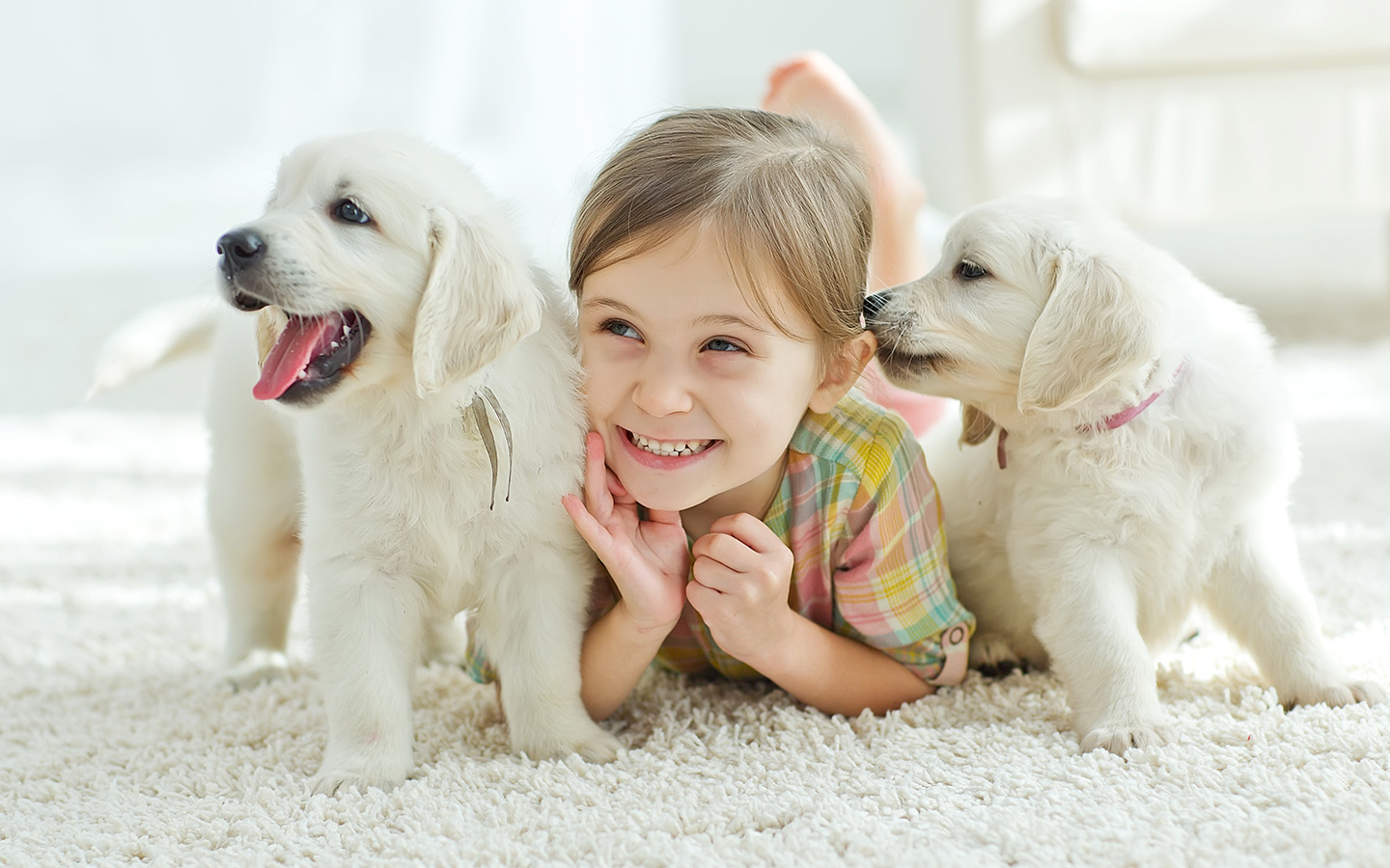Kids & Dogs – Good Sense Tips