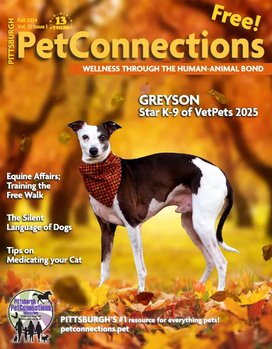 Pet Connections Fall 2024 Issue